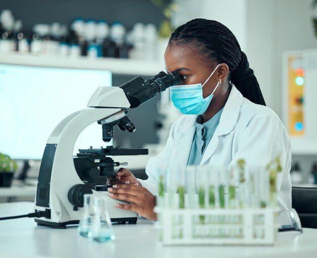 Laboratory & Imaging